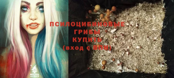 бошки Беломорск