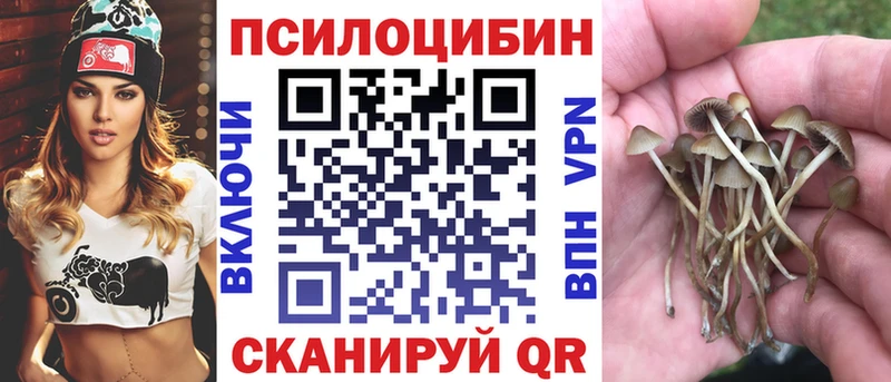 сколько стоит  Лабинск  Псилоцибиновые грибы Magic Shrooms 